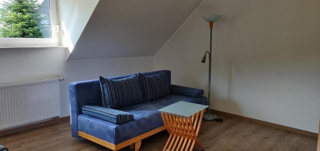 Ferienhaus Schulte - Villa Jupp Und Apartment Liesl Olsberg Zewnętrze zdjęcie